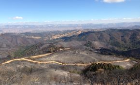 Recently-burned hills stretching into distance with blue sky overhead