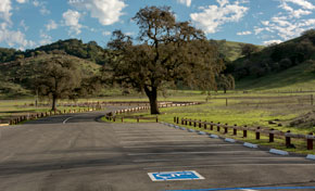 Parking lot with wheelchair-accessible spots next to green field and oat trees, green hills in background