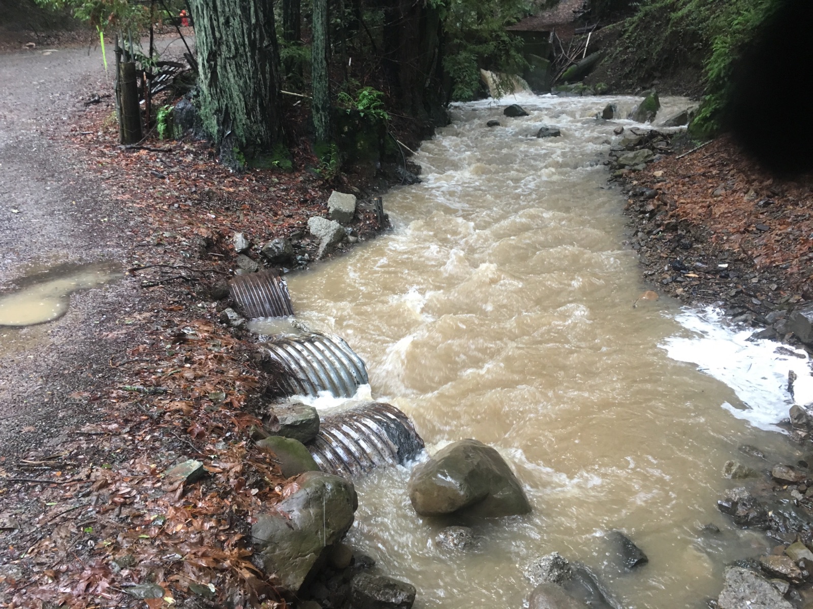 Overflowing stream flooding onto road