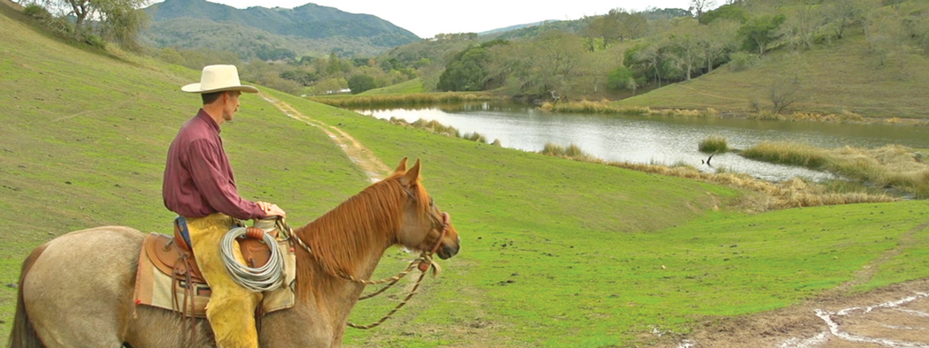 Man in cowboy hat and red shirt on tan horse overlooking small valley with full creek and green hills