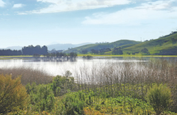 Laguna Seca wetland full of water with green hills in the background and blue skies