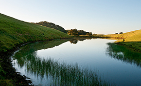 Still pond surrounded by green hills under a clear blue sky